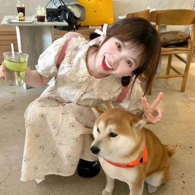 精灵小王子